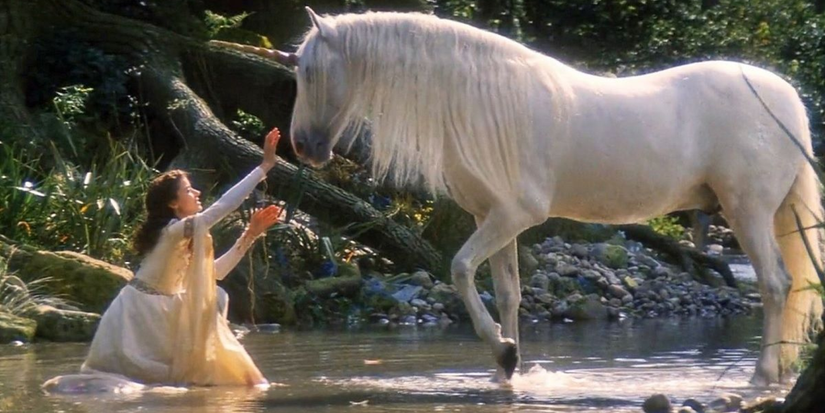 A sH๏τ of a unicorn from Legend