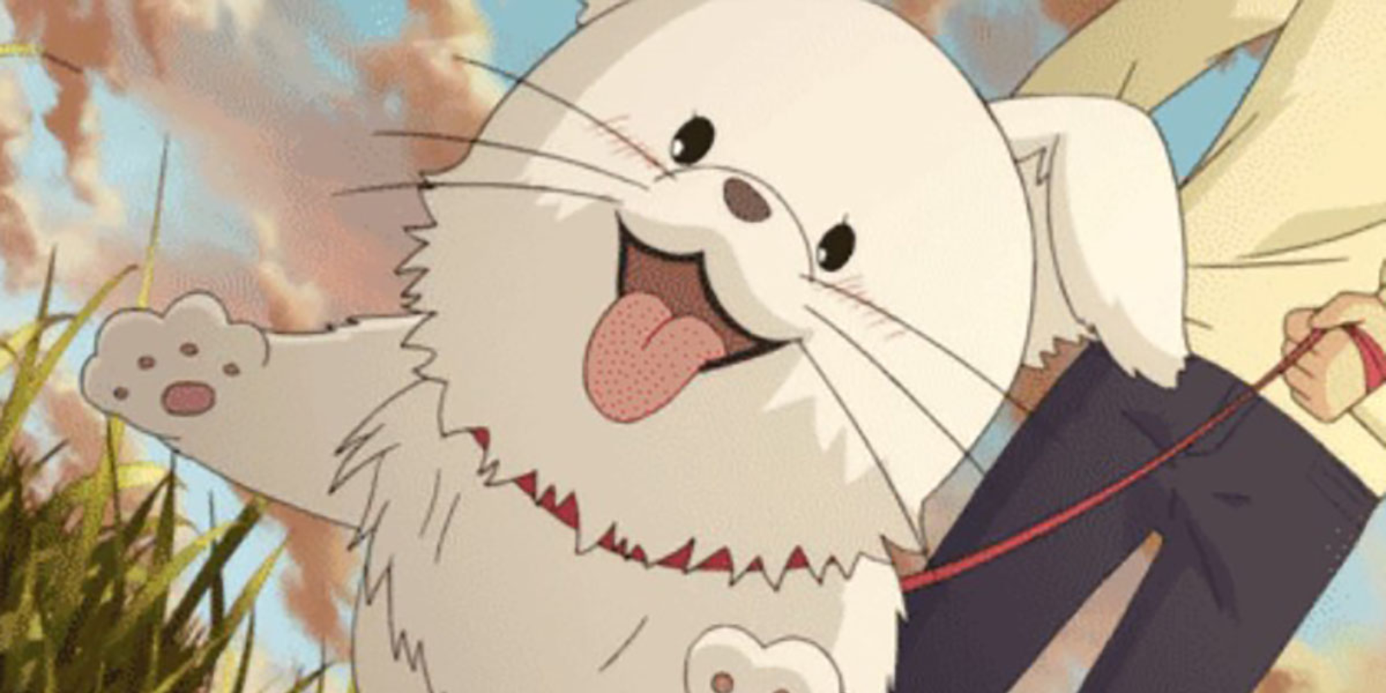 Maru in Kimi ni Todoke