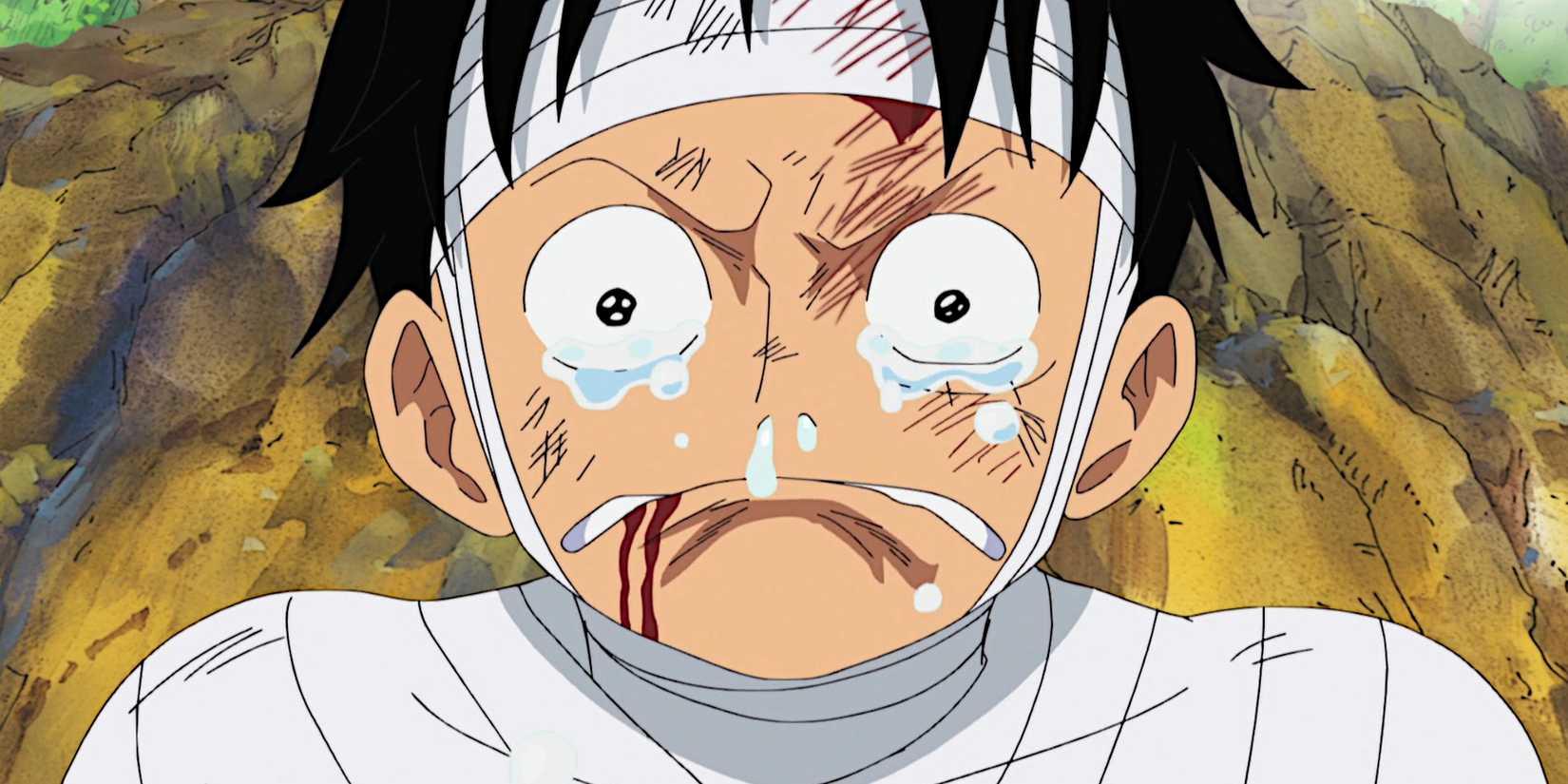 One Piece Luffy Crying in Episode 505