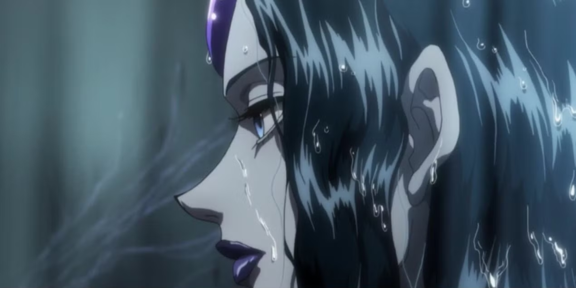 Palm Siberia from Hunter x Hunter image