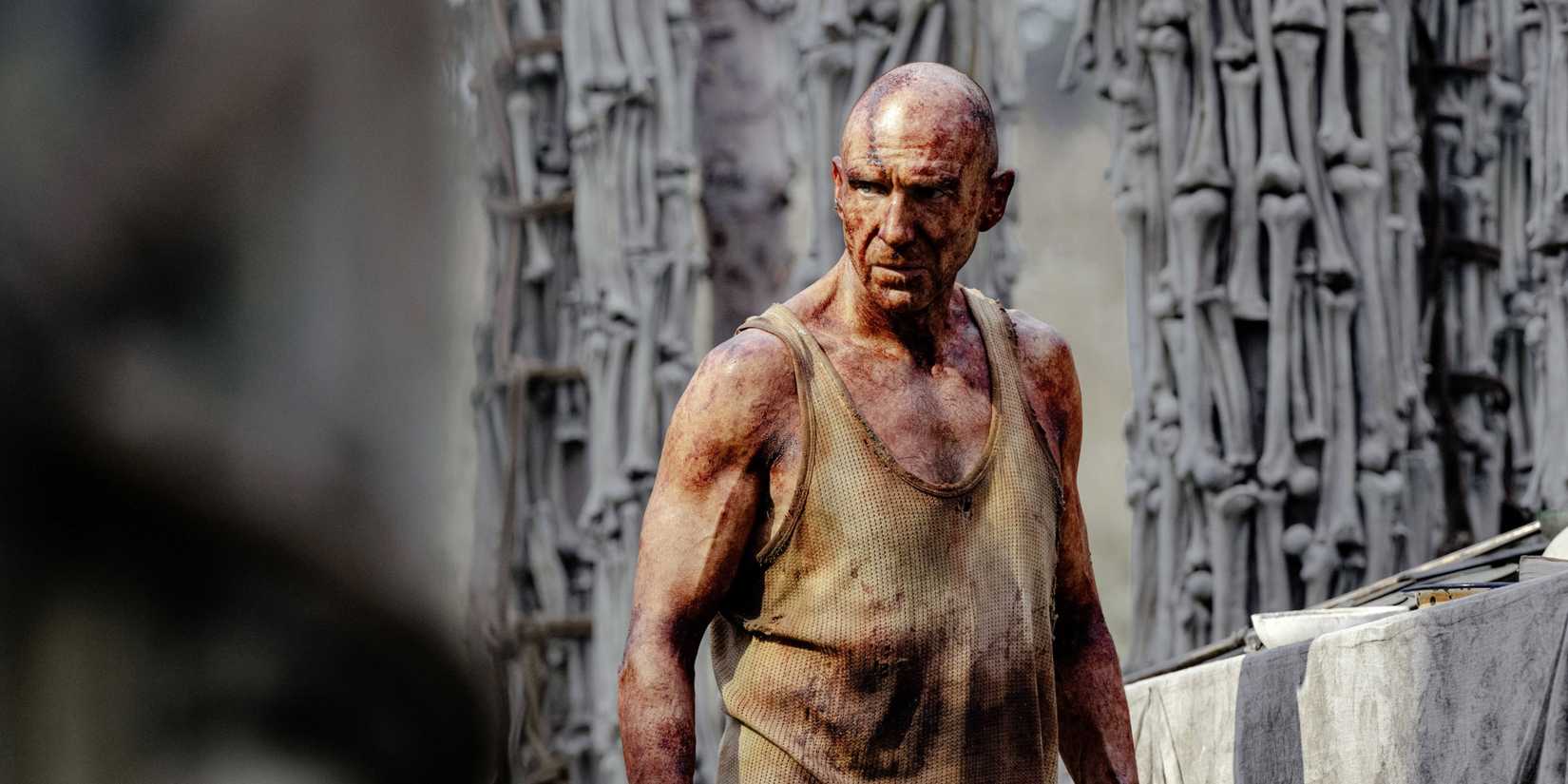 Ralph Fiennes olhando para o lado em 28 Anos Depois