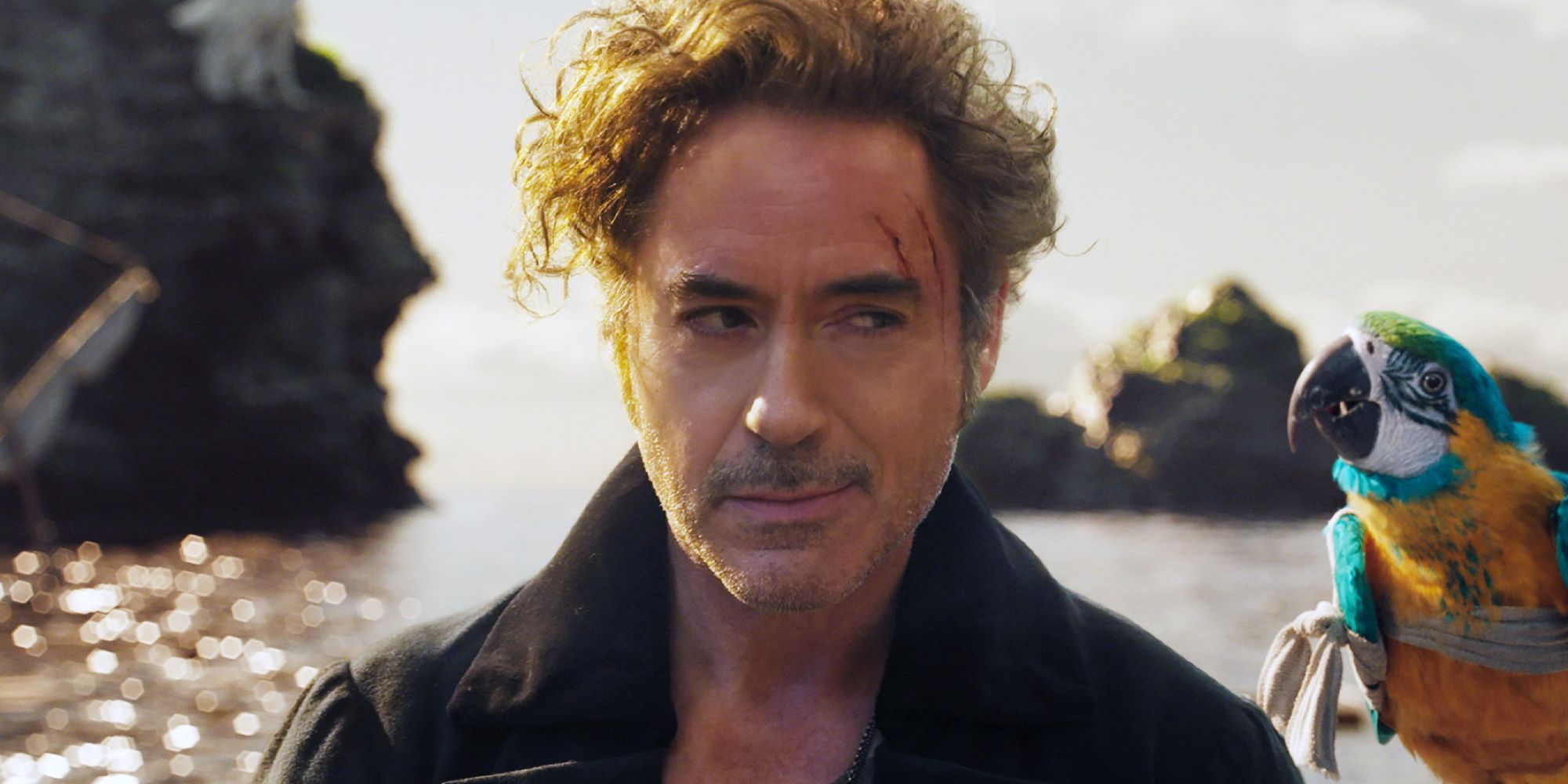 Robert Downey Jr.'s Doctor Doom In Avengers: Doomsday Hyped By MCU Star