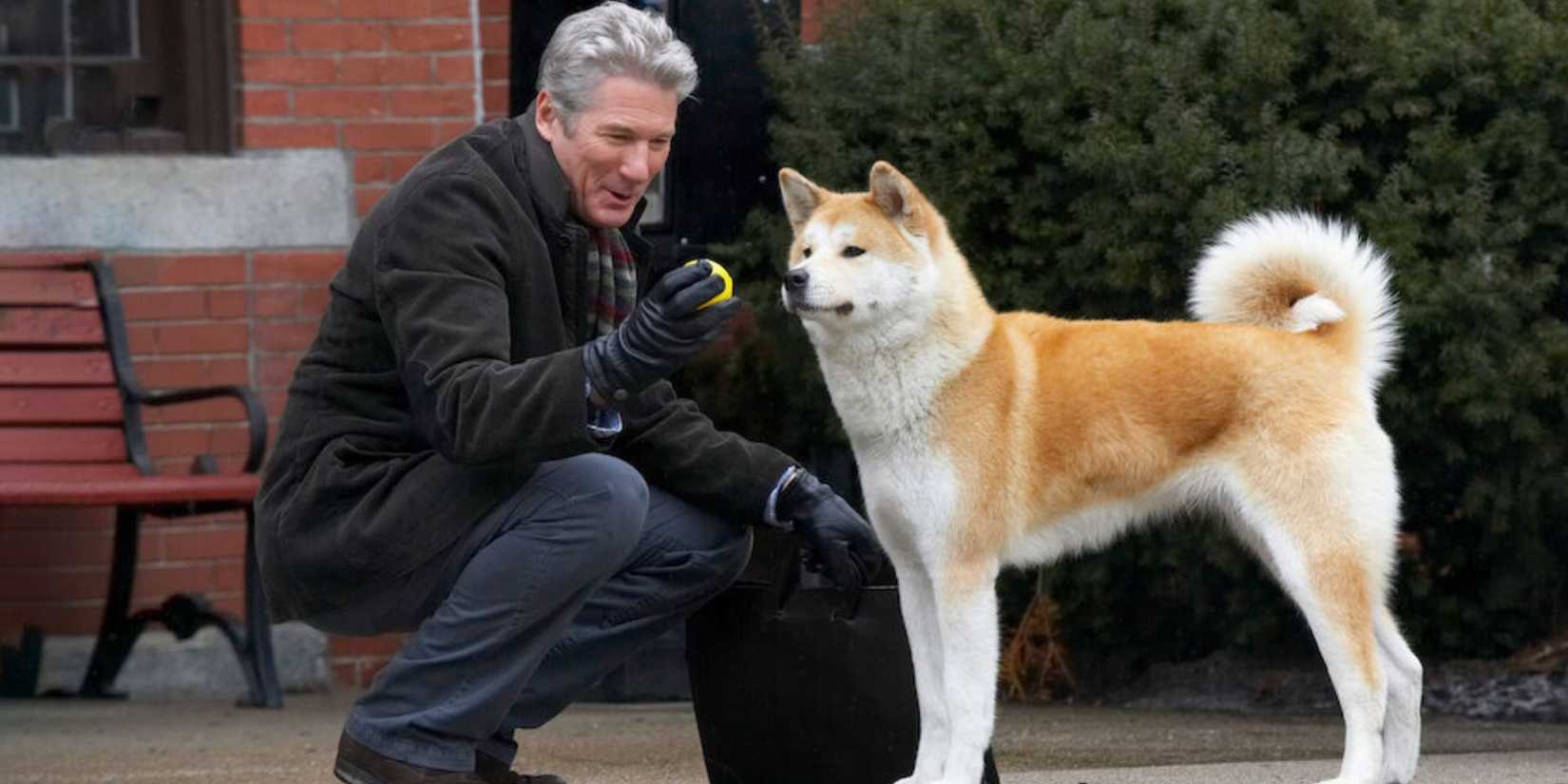 Richard Gere as Professor Parker Wilson with Hachi the dog in Hachi A Dog's Tale