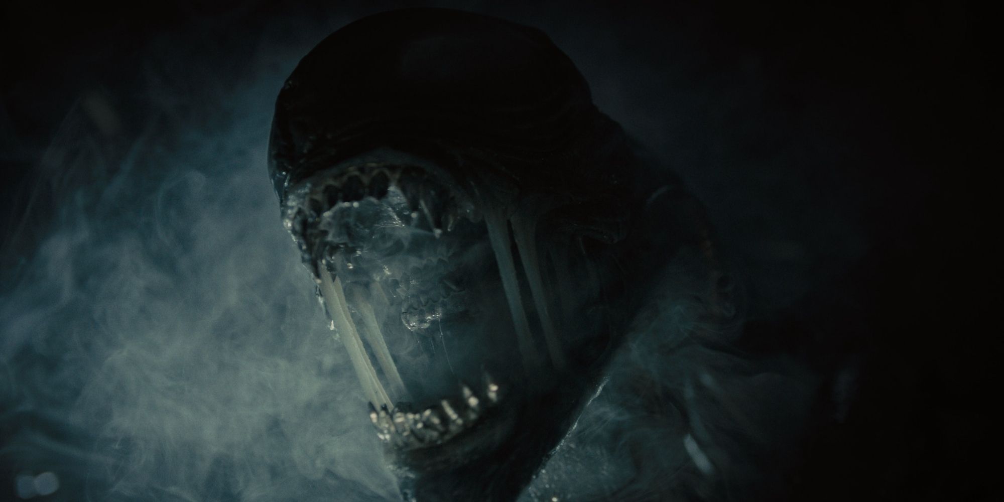 Alien: Romulus Sequel Loses Director Fede Álvarez - A Risk for the Franchise's Future