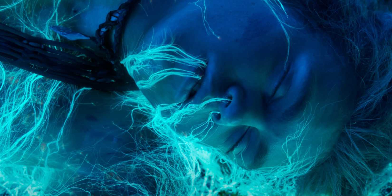 Spider bonding with Eywa in Avatar: Fire and Ash