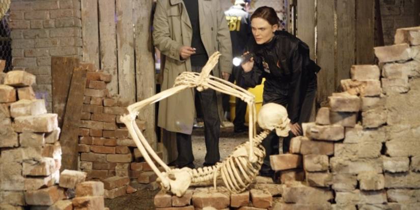 Brennan in the Bones episode "The Verdict in the Story"