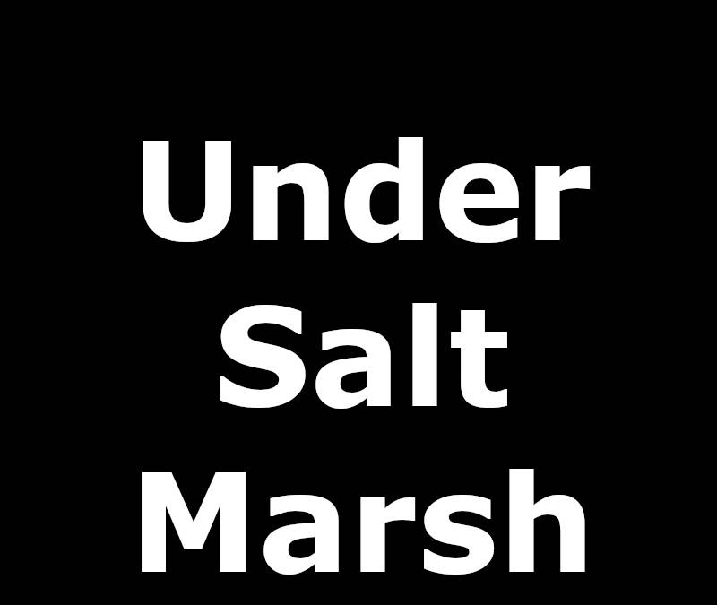 UNDER SALT MARSH TV SERIES 2026 intelligence overview