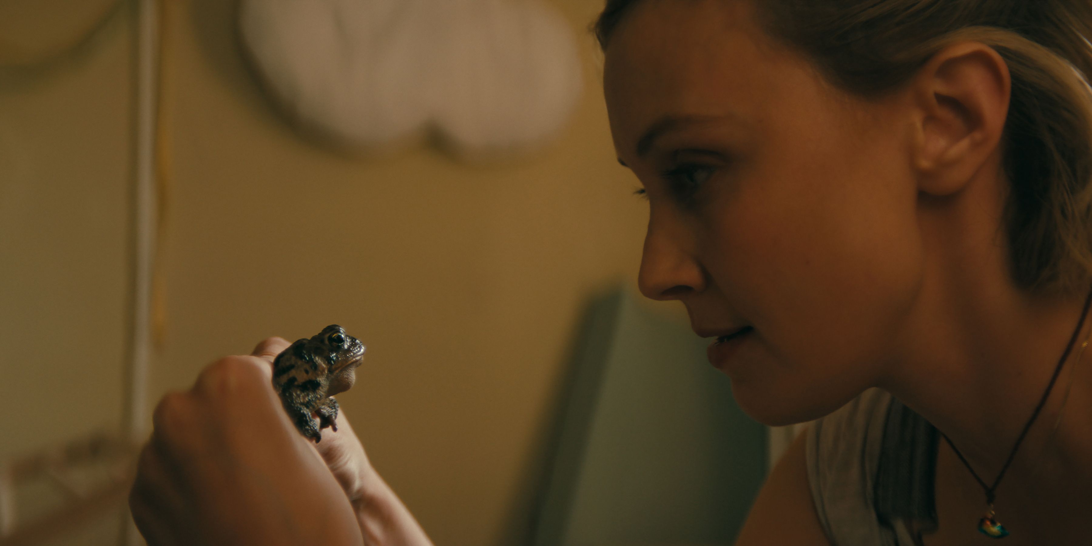 The Symbolism and Significance of Toads in Netflix's Wayward