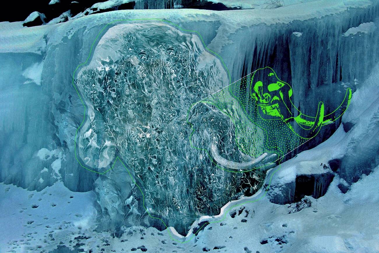 Woolly Mammoth Discovery Ice Skull Preserved Colossal Biosciences