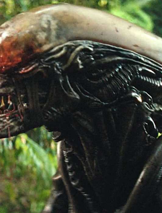 An Official Alien Theory Explains Why the Xenomorphs' Acid Blood Is So ...