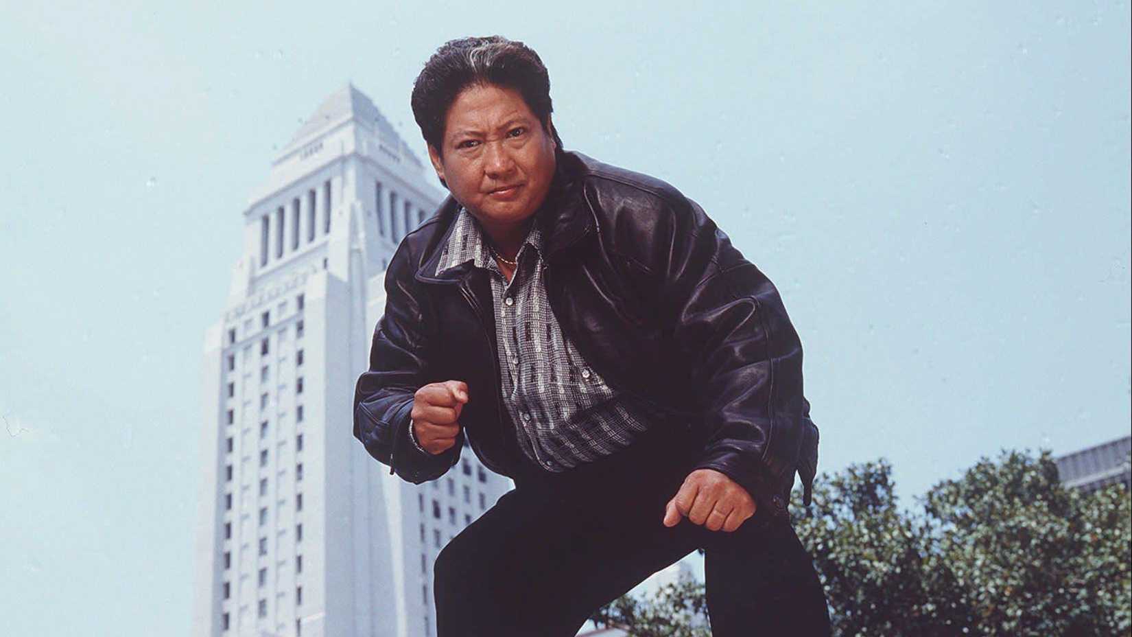 Sammo Hung em pose de artes marciais em Martial Law
