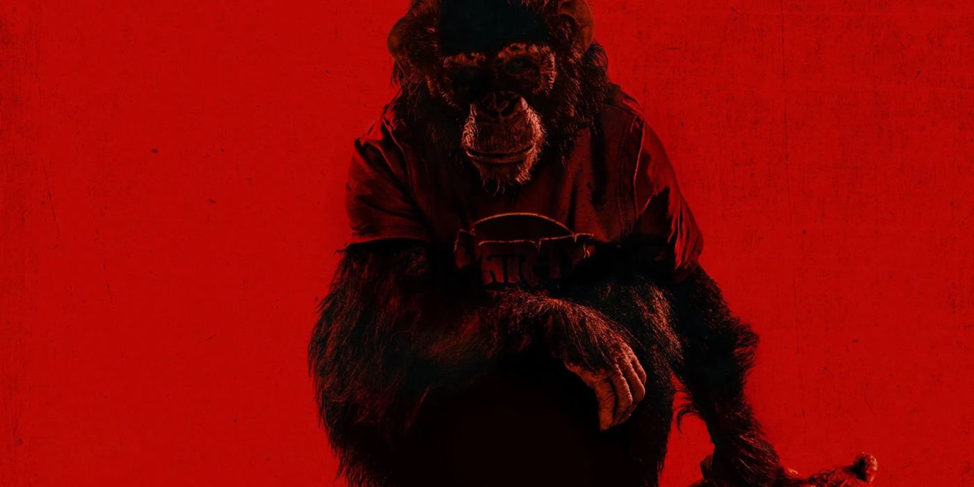 Napovednik filma 'Primate' razkriva morilskega šimpanza