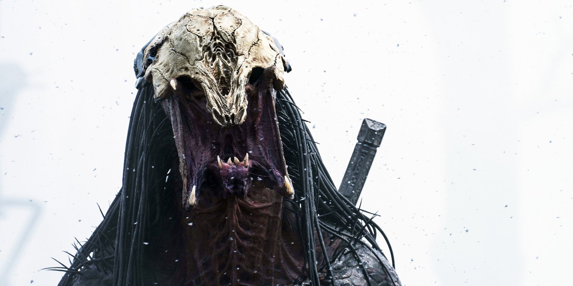 The Wild Reason Predator: Badlands Isn’t Rated R Like Every Other ...