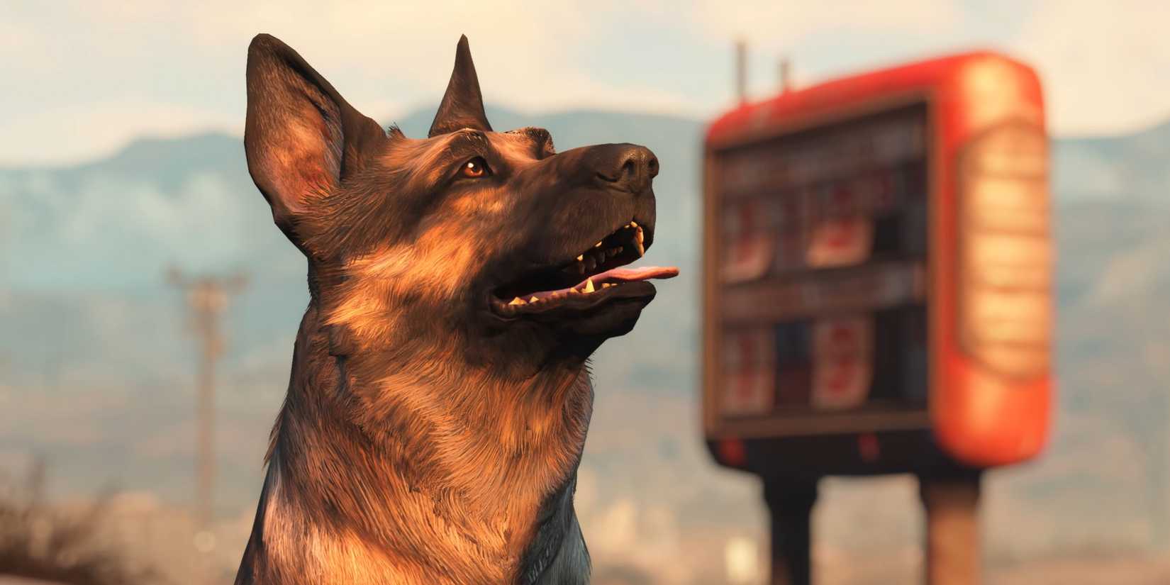Dogmeat looking happy in Fallout 4 Anniversary Edition.