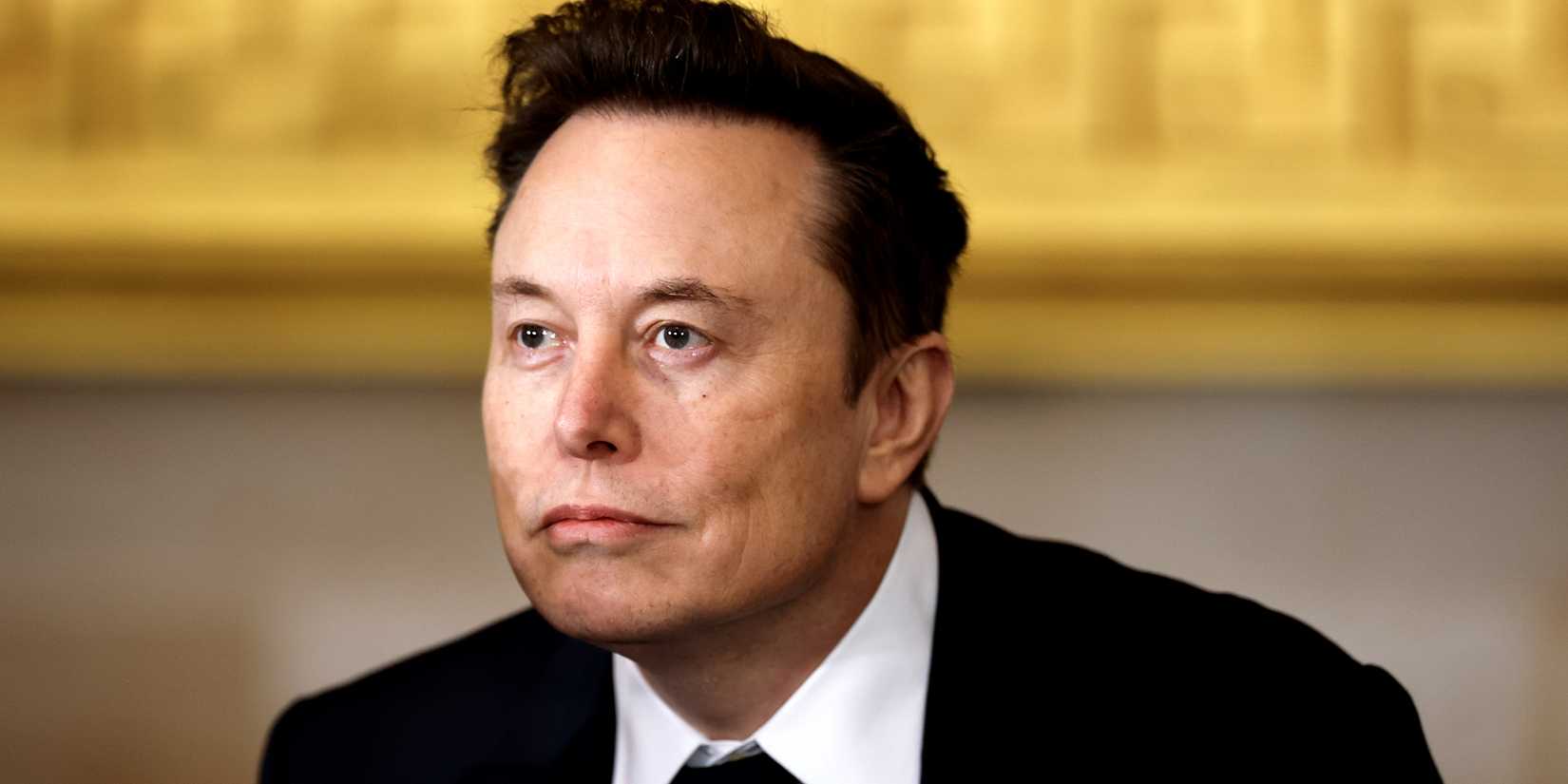 Elon Musk leaning forward while sitting and smiling slightly