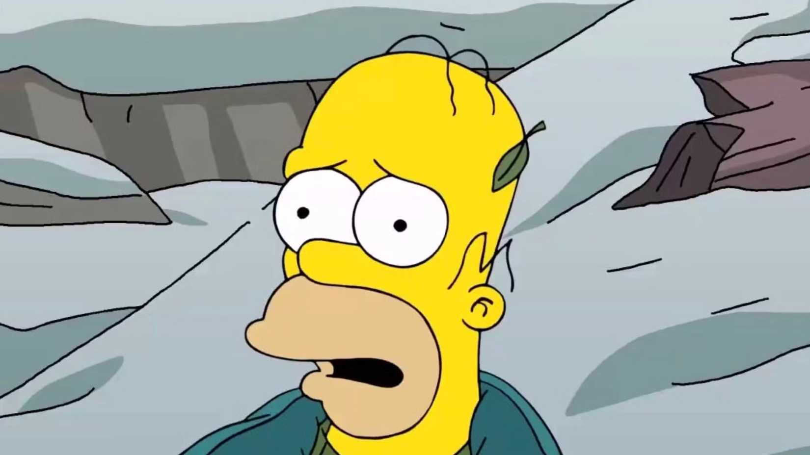 Homer Simpson em The Simpsons.