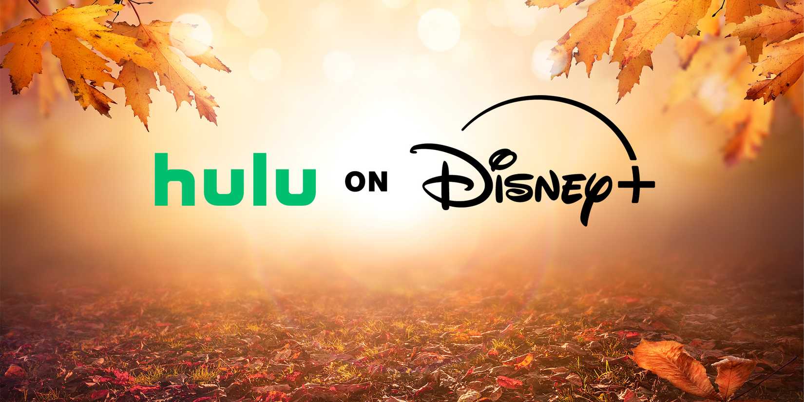 Hulu on Disney+ logo autumn