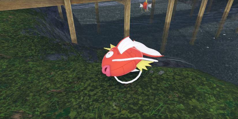Pokémon Legends Z-A Magikarp found in Wild Zone 2 area