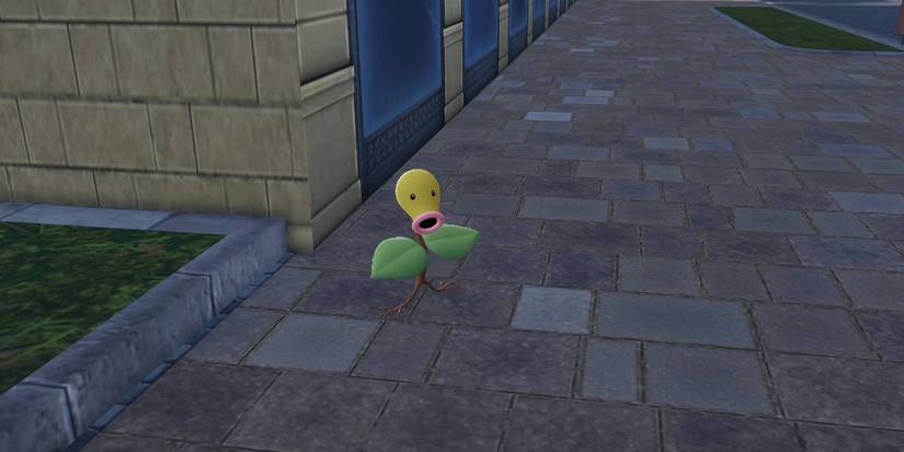 Pokémon Legends Z-A Bellsprout in Wild Zone 5