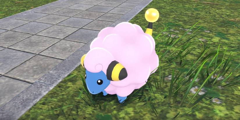 Pokémon Legends Z-A Mareep found in Wild Zone 1