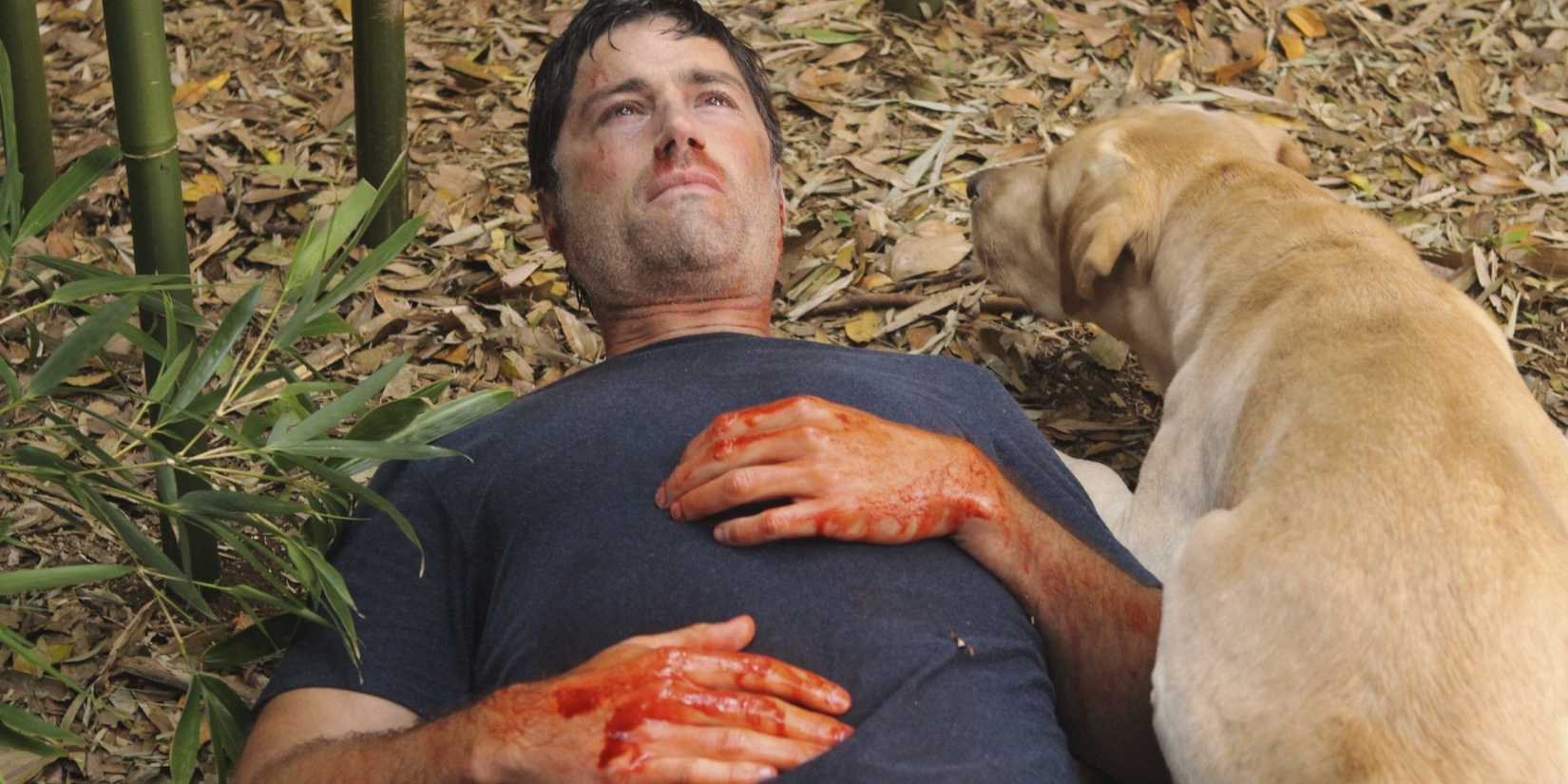 Jack Shephard (Matthew Fox) in the Lost series finale, wounded and laying in the bamboo forest next to Vincent the dog