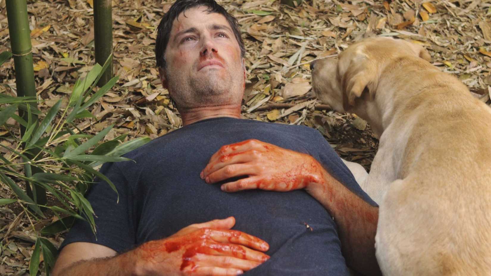 Jack Shepherd ferido ao lado do cachorro Vincent em Lost