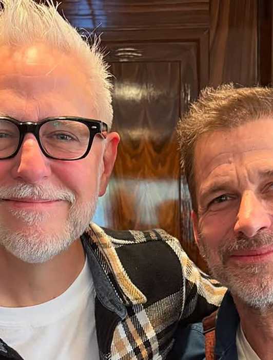 Why Dumbledore Left Ron The Deluminator In Harry Potter (& How It Worked)