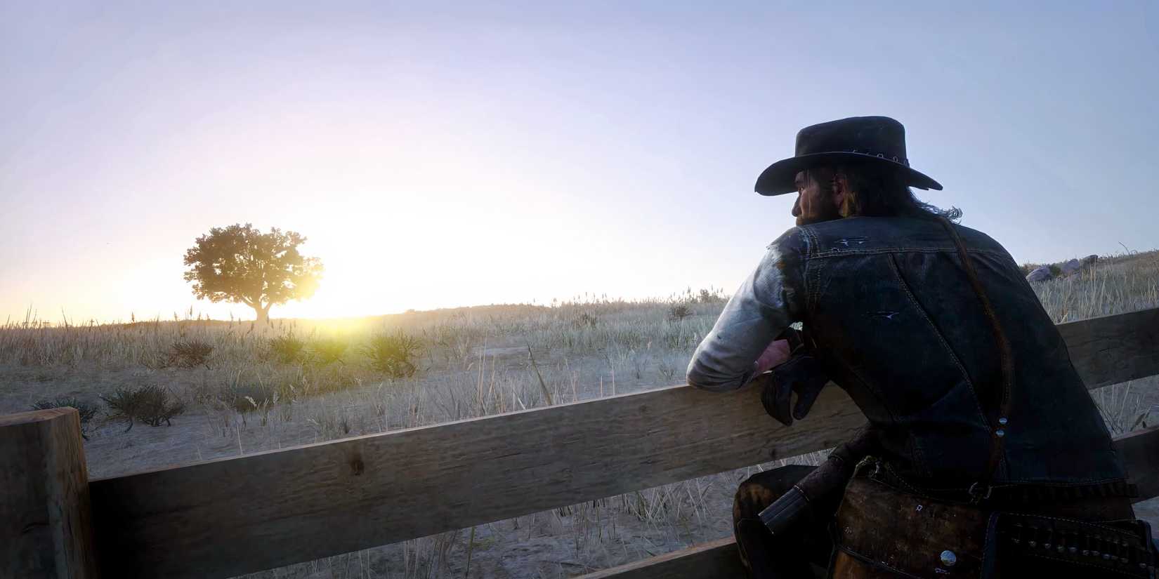 John RDR2 fence sunset