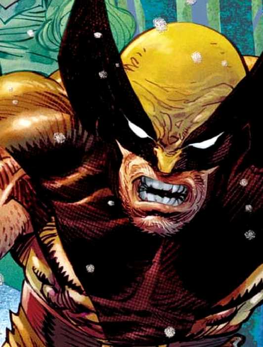 Shadow Wolverine It Took Decades, But Marvel Is Ready to Explore Asgard Like We've ...