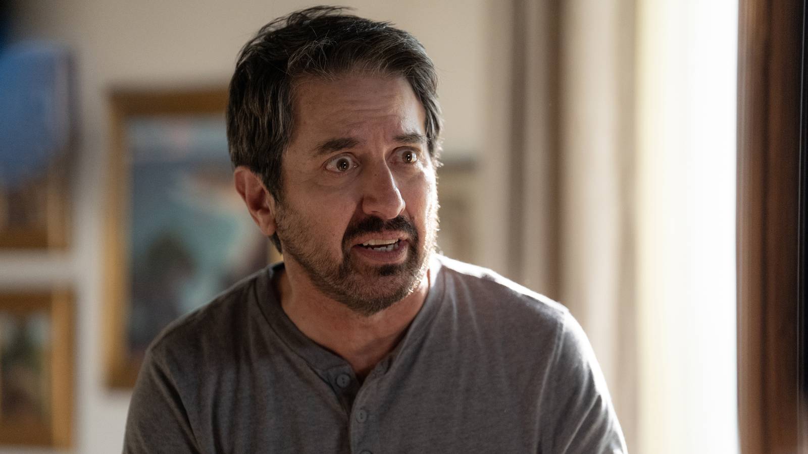 Ray Romano Joins Netflix’s Operating Level Season 2 In Main Function