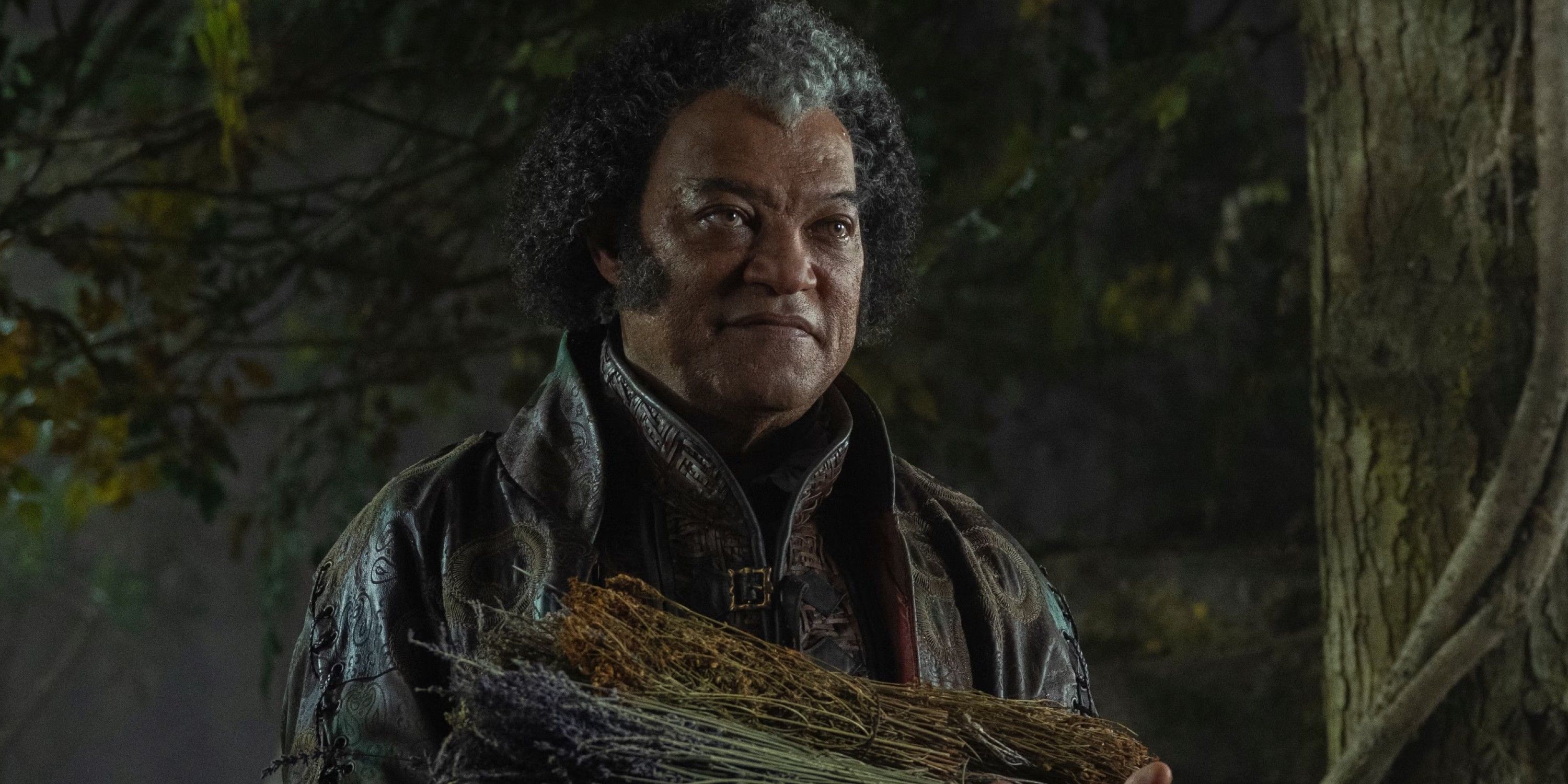 Lawrence Fishburne como Regis em The Witcher