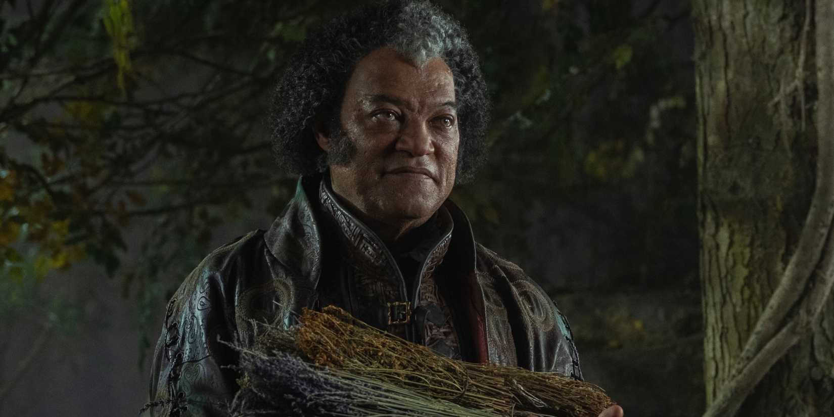 Regis holding a bundle of dry flowers in The Witcher season 4