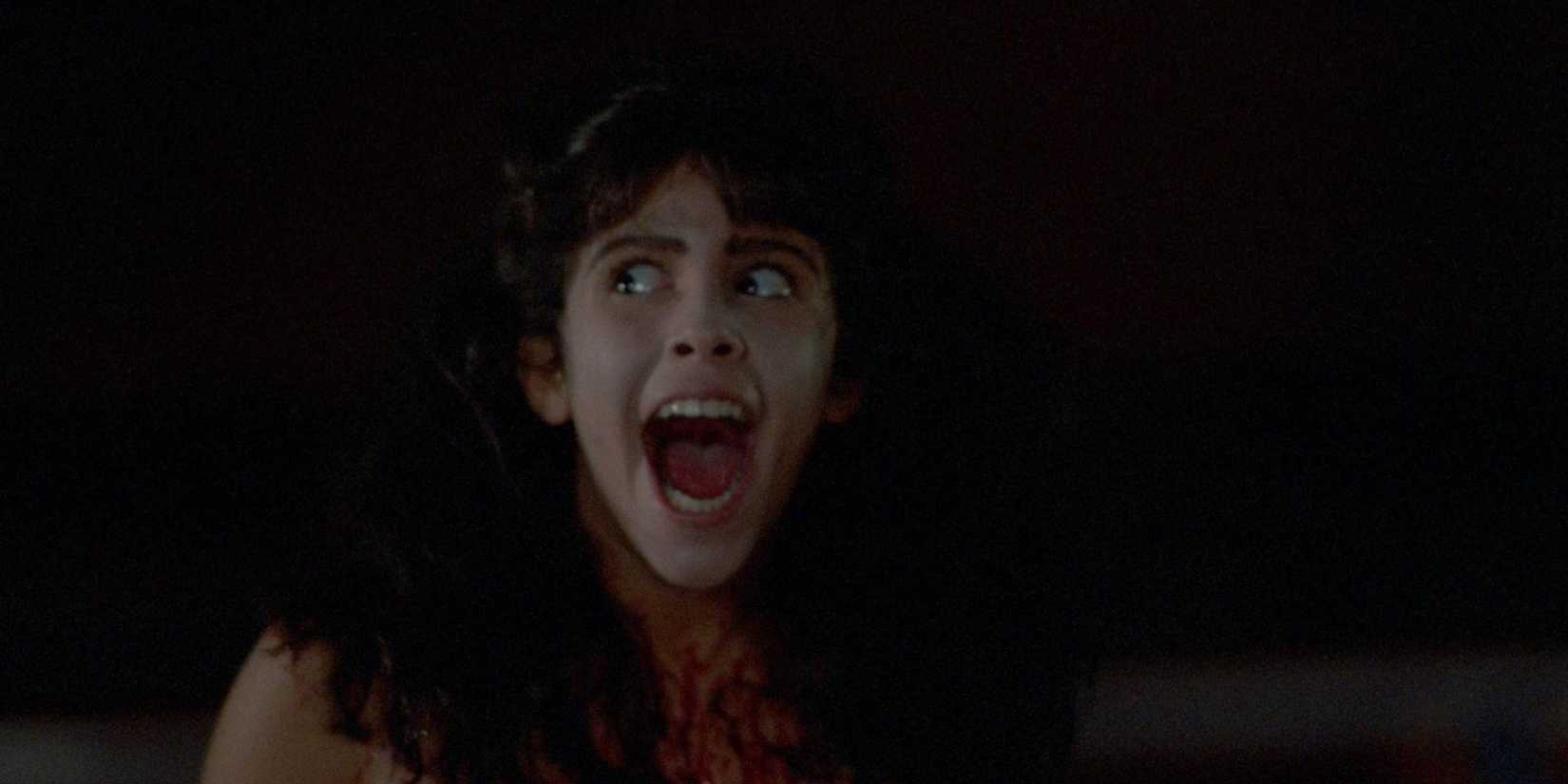 Sleepaway Camp final scream