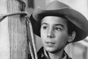 The Rifleman Pfp The Rifleman Summary, Trailer, Season List, Cast, Where to Watch and More