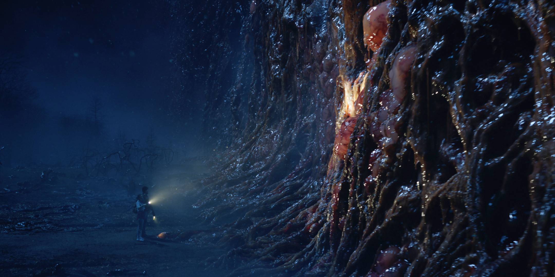 The Upside Down in Stranger Things season 5