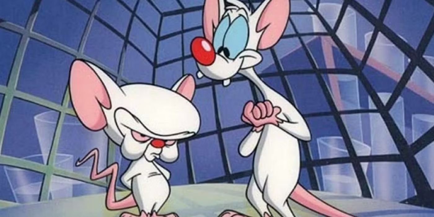 Pinky and Brain
