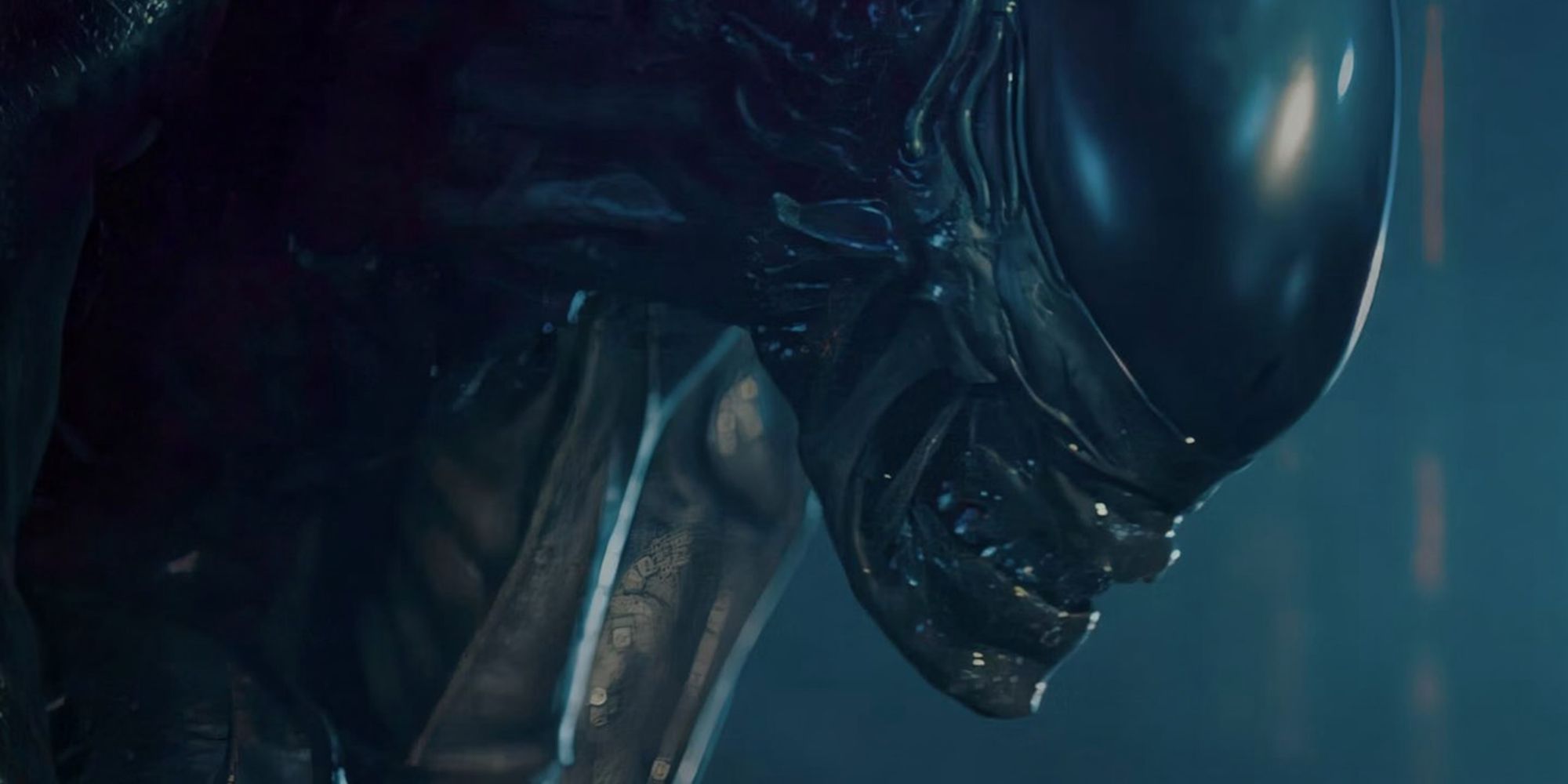 xenomorph-looking-intimidating
