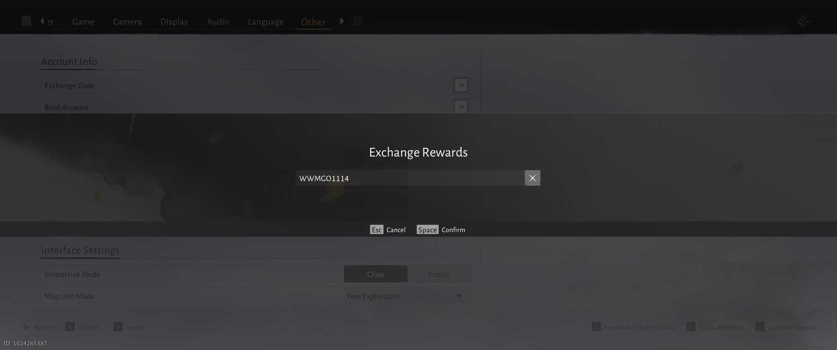 Where Winds Meet global launch code