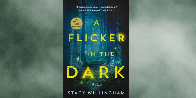 Capa do livro A Flicker in the Dark