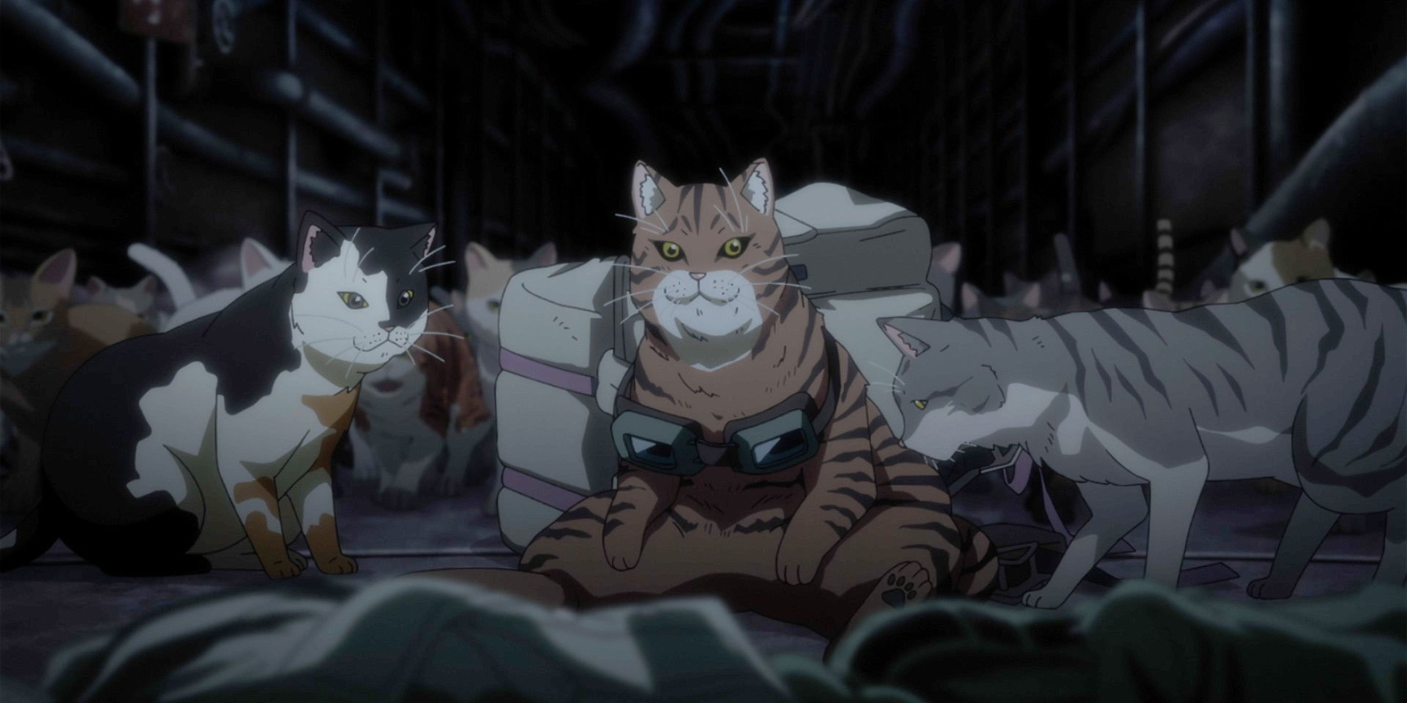 Gatti in Nyaight of the Living Cat
