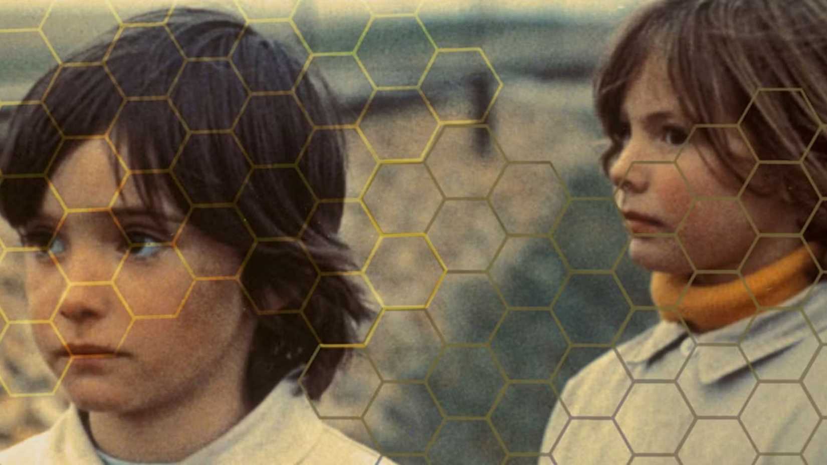 A promo image from The Spirit Of The Beehive