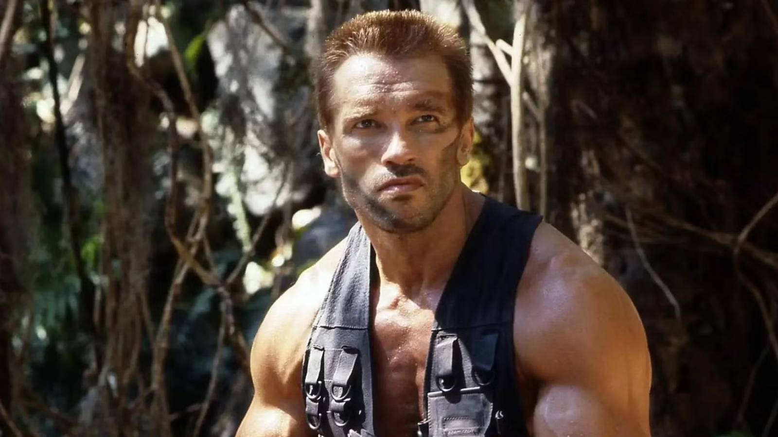 The Best Predator Line Was First Done By A Stallone Action Franchise 2 Years Earlier