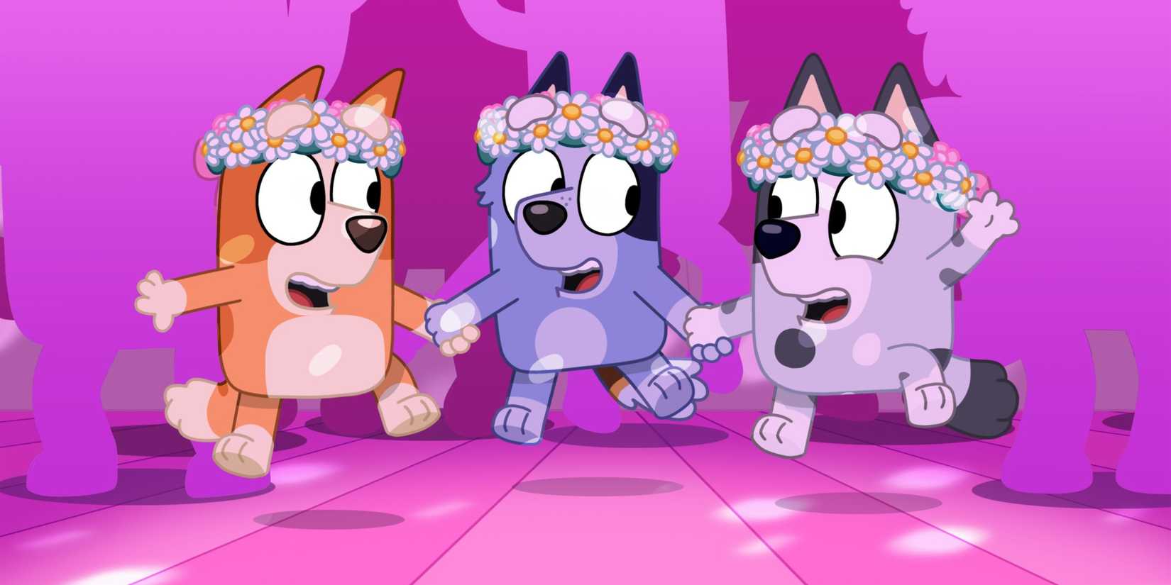 bingo muffin and socks dancing in the bluey episode the sign