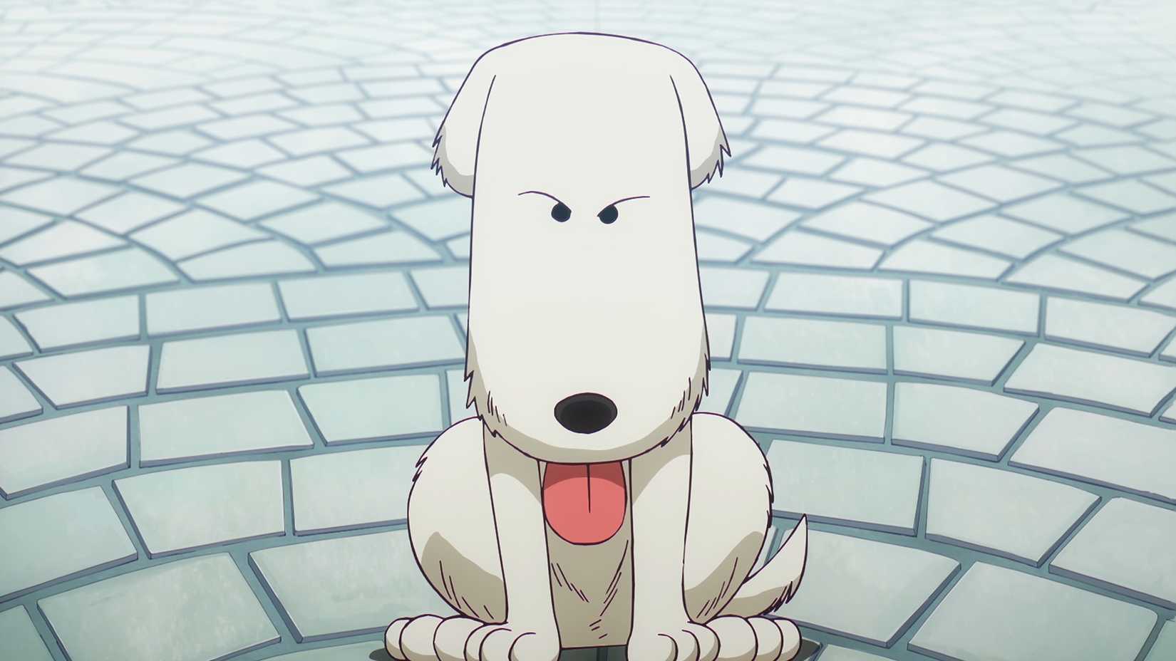 Chouchou chú chó trong One Piece