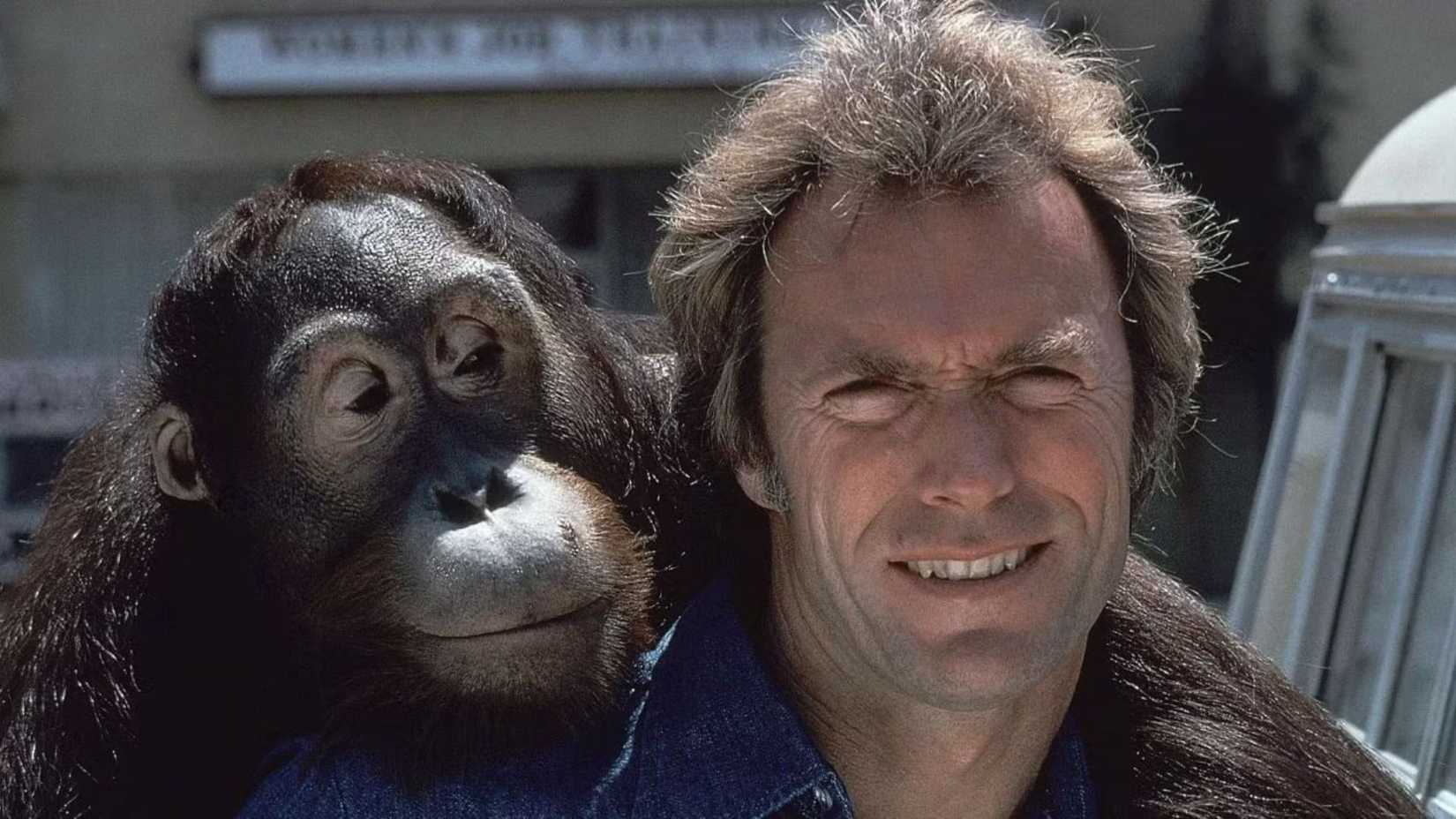 Clint Eastwood e Clyde em Every Which Way But Loose