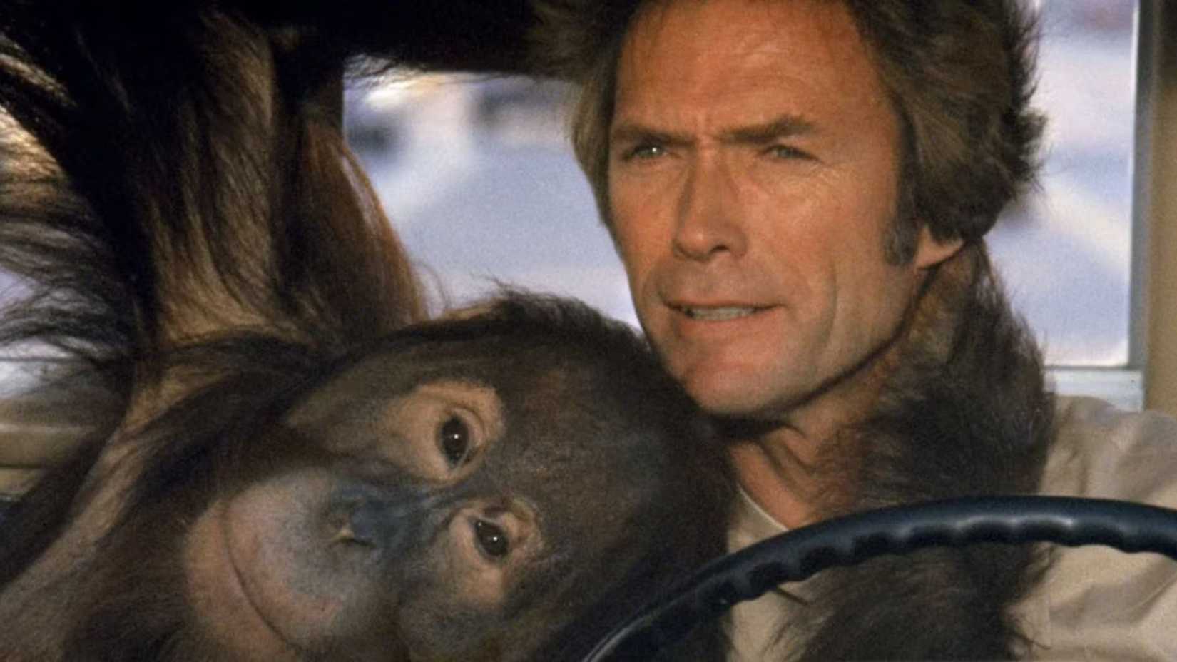 Clint Eastwood e Clyde no caminhão em Every Which Way But Loose