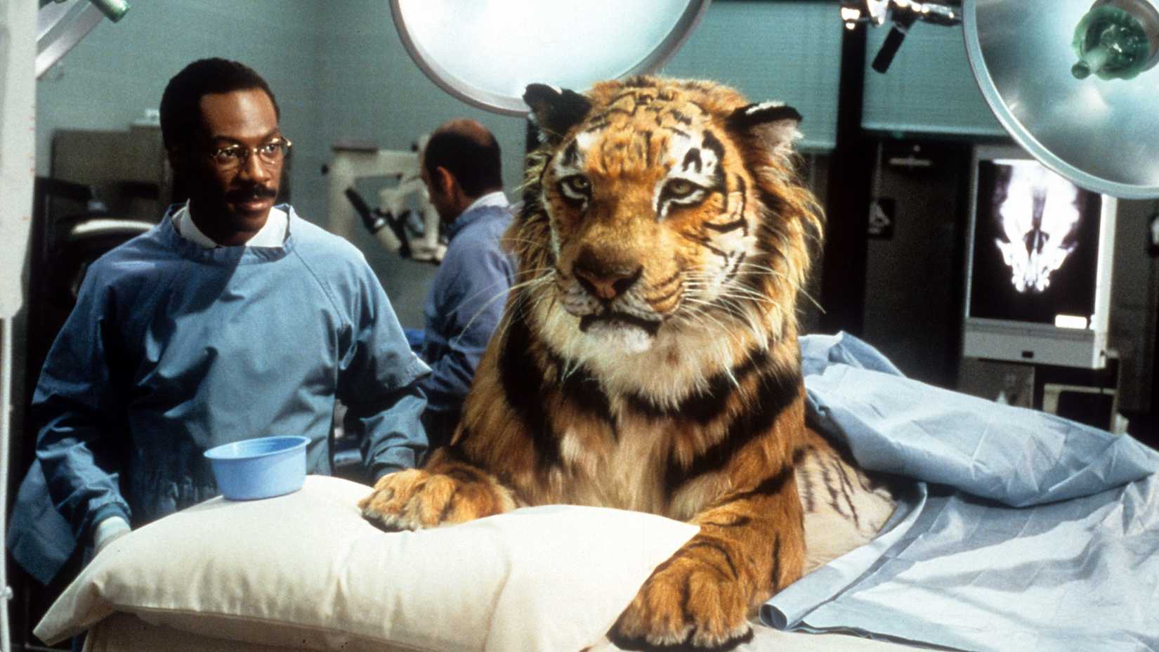 Eddie Murphy ao lado de um tigre em uma sala de cirurgia em Dr. Dolittle