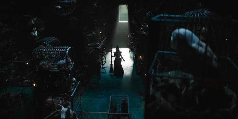 Elphaba Finding Trapped Animals in Wicked For Good