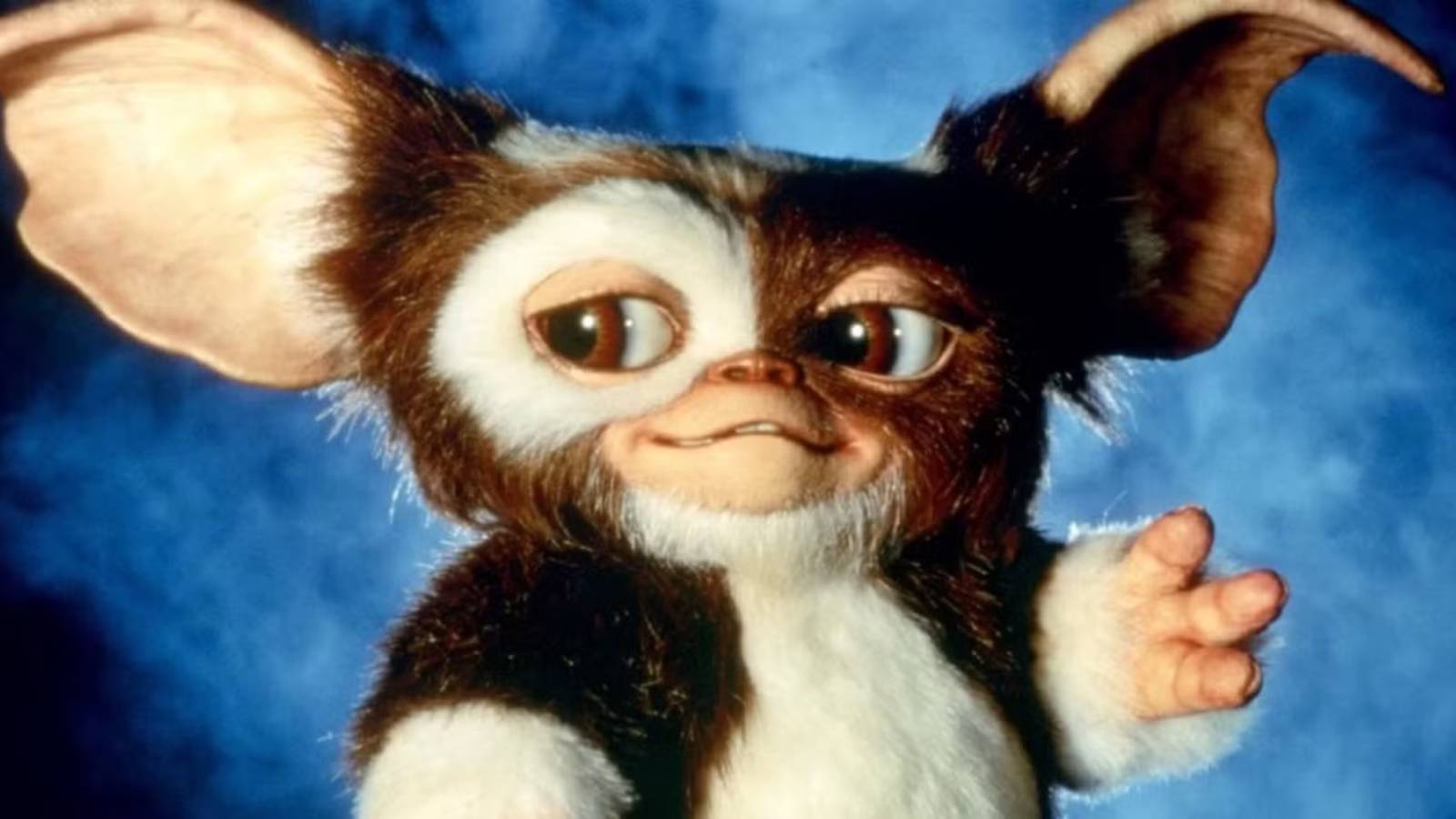 Gizmo from Gremlins