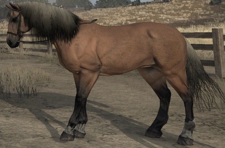 Highland Chestnut in Red Dead Redemption